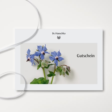 Dr. Hauschka Natural Skincare -lahjakortti, jossa on sinisiä borage-kukkia (Borago officinalis)