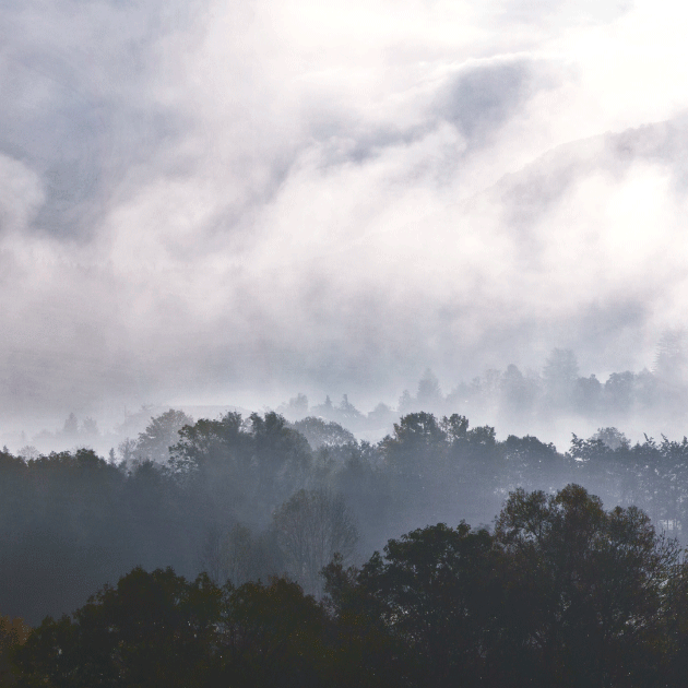 Nature, Outdoors, Weather, Fog, Mist