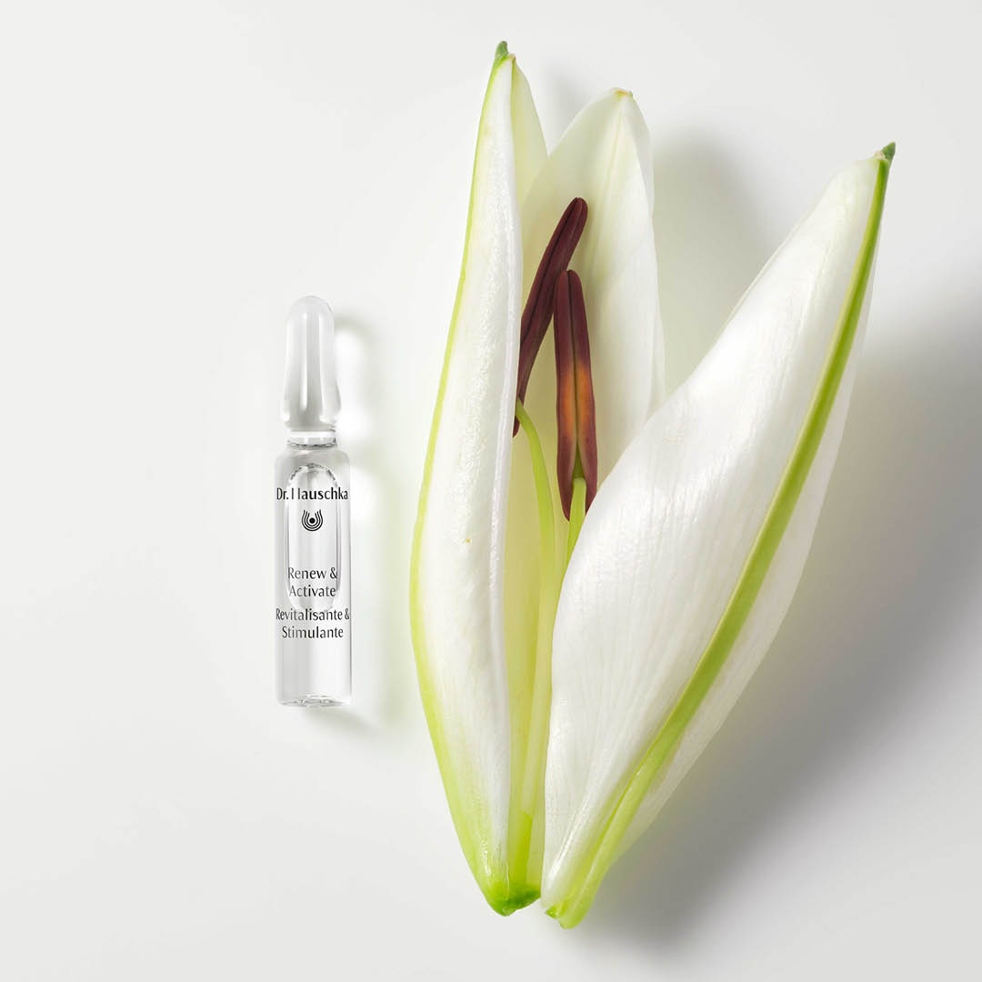 Dr. Hauschka Obnavljajuće i Aktivirajuće Ampule Dr. Hauschka Obnavljajuće i Aktivirajuće Ampule