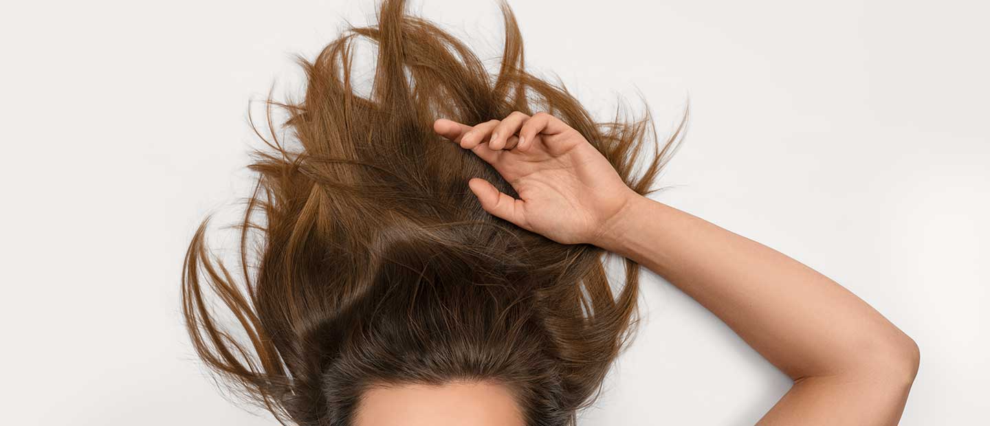 Adult, Female, Person, Woman, Hair
