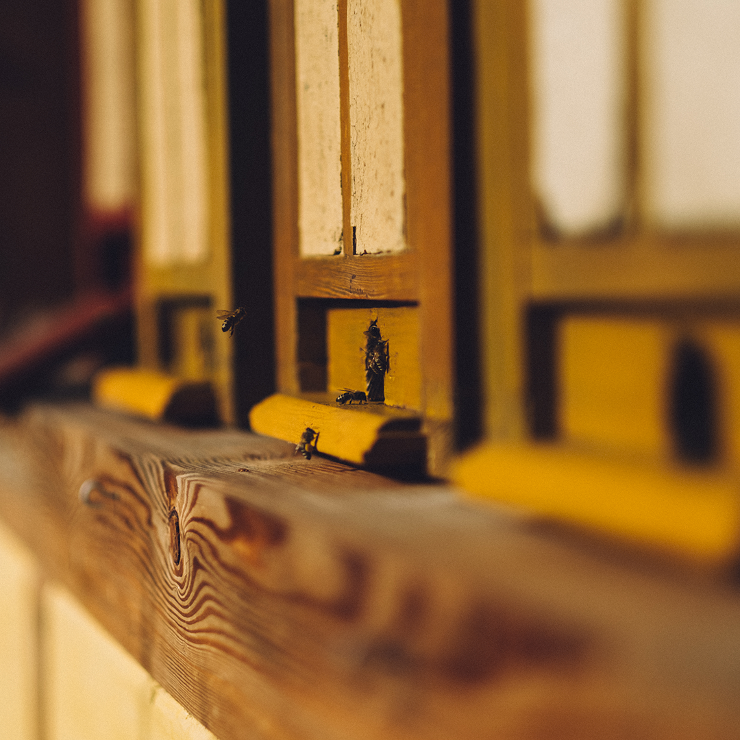 Wood, Plywood, Hardwood, Interior Design, Window