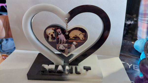 Hanging Picture Ornament