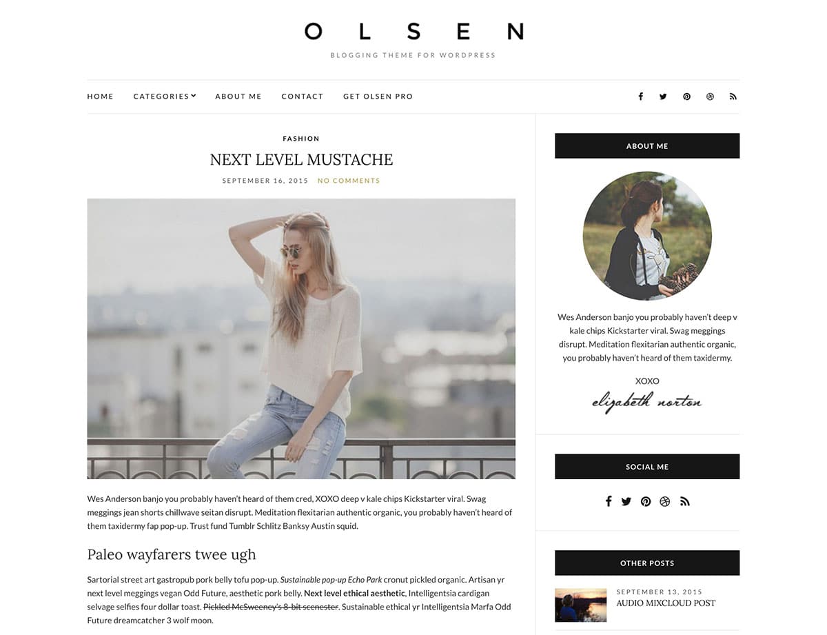 Olsen Light Theme