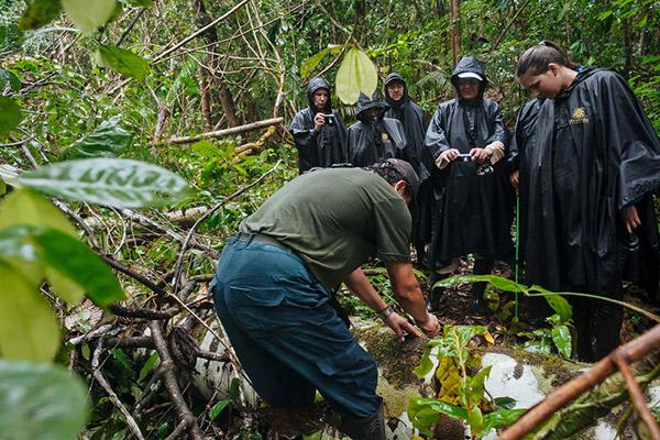 Manatee Amazon's 4-Day Itinerary Day Two - Jungle Excursion.