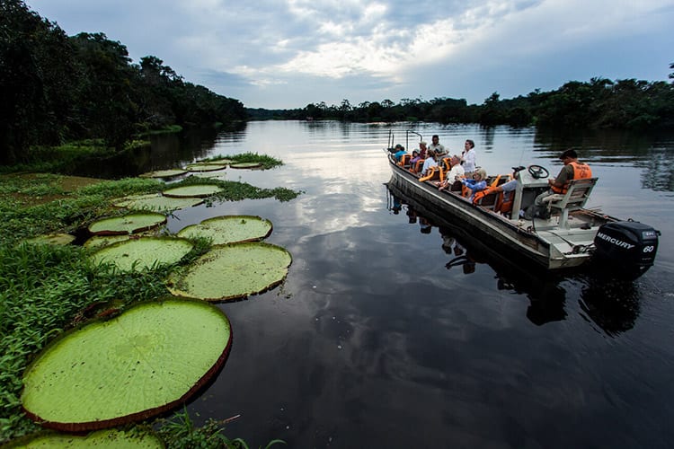 Delfin I Amazon’s 5-Day Itinerary Day One - Skiff Ride.