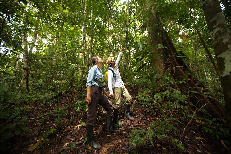 Delfin II Amazon’s 5-Day Itinerary Day Three - Jungle Walk Excursion.