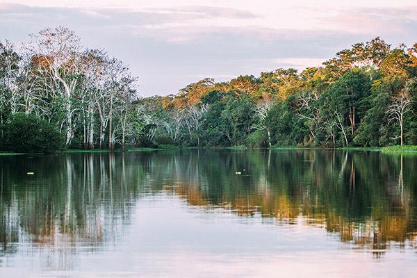 Aqua Nera’s 8-Day Itinerary Day Three - Amazon River Views.