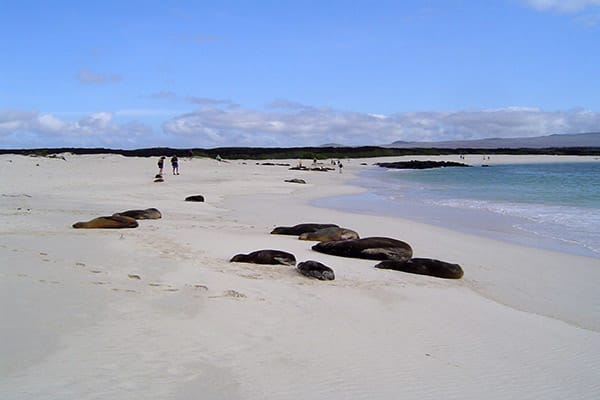 Isabela II’s 5-Day Western Itinerary Day Two - White Sandy Beaches in the Galapagos.