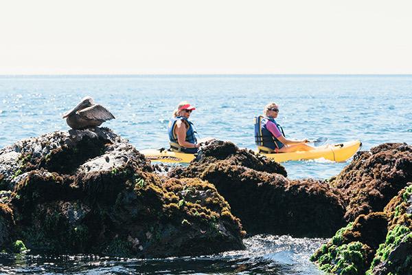 Origin's 8-Day Itinerary B Day Five - Kayaking in the Galapagos.