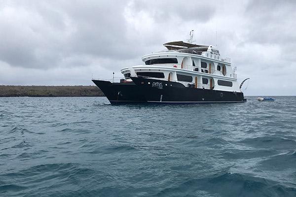 Petrel’s 4-Day Itinerary Day Four - Disembarkation.