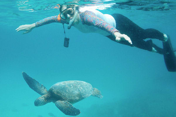 卡利普索5天行程的第二天,与海龟浮潜。