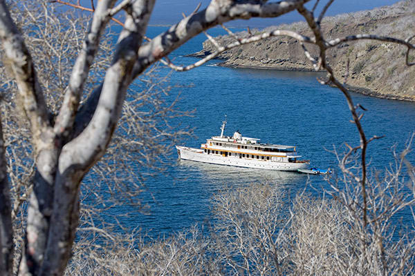 Grace Yacht's Western & Central Following Darwin's Trail 8-Day Itinerary Day Four - Tagus Cove.