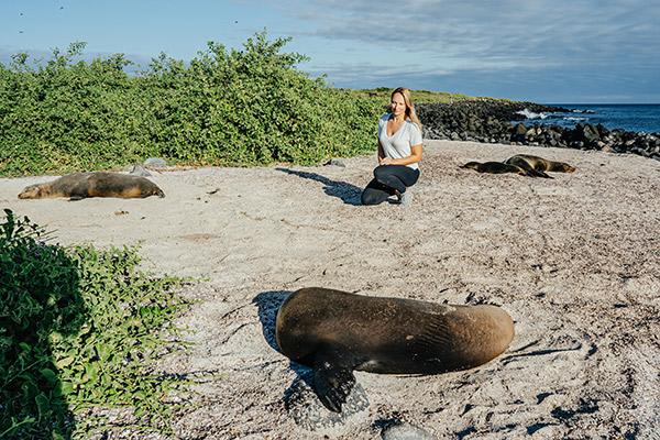 Grace Yacht's Western & Central Following Darwin's Trail 8-Day Itinerary Day Three - Getting Up Close to Sea Lions.