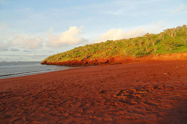 Camila’s 5-Day Itinerary Day Two - Rabida Island.