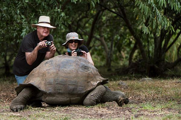 Origin's 15-Day Itinerary 'B+A' Day Seven - Giant Tortoise Sighting.