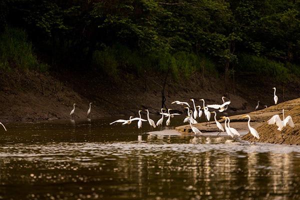 Agua Marina’s 8-Day Bird Watching Itinerary Day One - Embarkation.