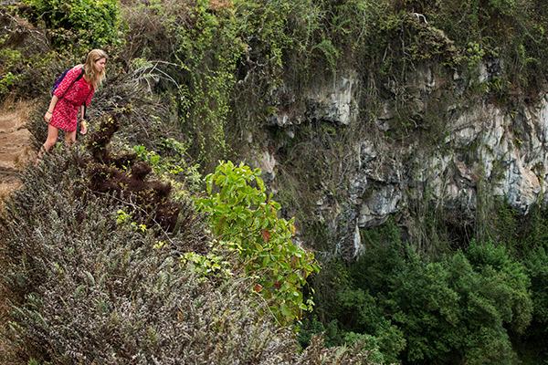 Galapagos Legend’s 8-Day 'A+B' Itinerary Day Seven - Santa Cruz Island.