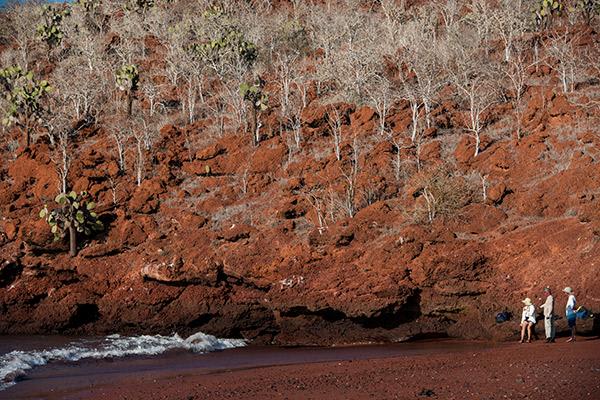 Galapagos Legend’s 8-Day 'B+C' Itinerary Day Two - Rabida Island.