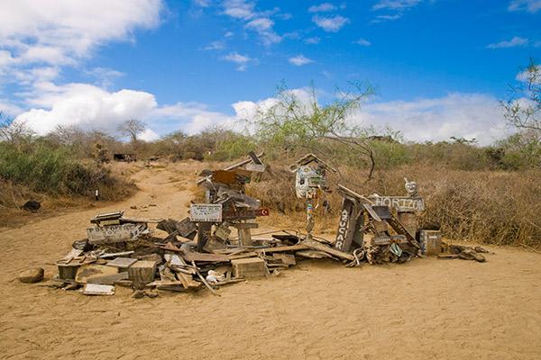 Elite’s 8-Day Itinerary 'B' Day Three - Post Office Bay.