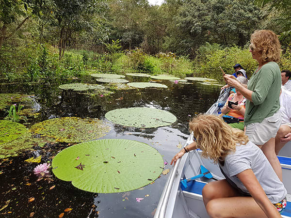 Lo Peix 5-Day Cruise Itinerary Day One - Giant Water Lily.