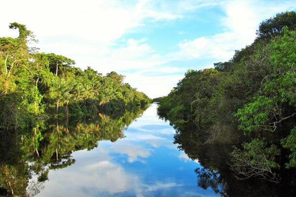 Jacare-Tinga为期4天的野外Apuau尼格罗河克鲁斯第三天,亚马逊河的观点。