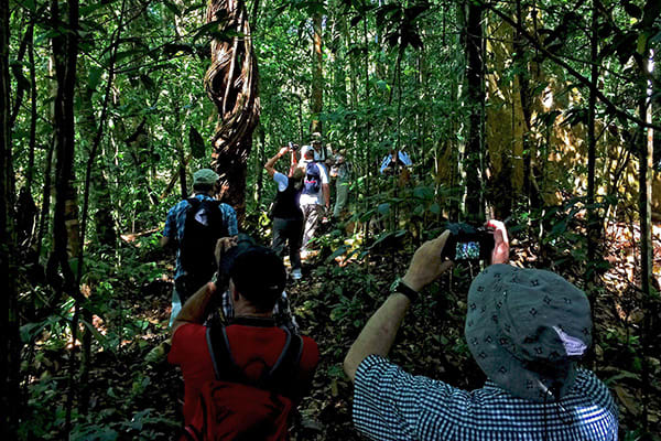 Jacaré Açu's 4-Day Apuaú Wild Rio Negro Cruise Day Two - Hiking in the Jungle.