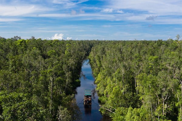 Kumai's 3-Day Tanjung Puting & Camp Leakey - Day One - Borneo Cruise