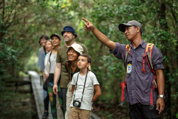 Kumai为期3天的丹戎普丁国家公园和营地李基-第三天导游和组