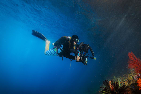 Tiare's 12-Day Maumere & The Forgotten Islands - Day Four - Filming Underwater