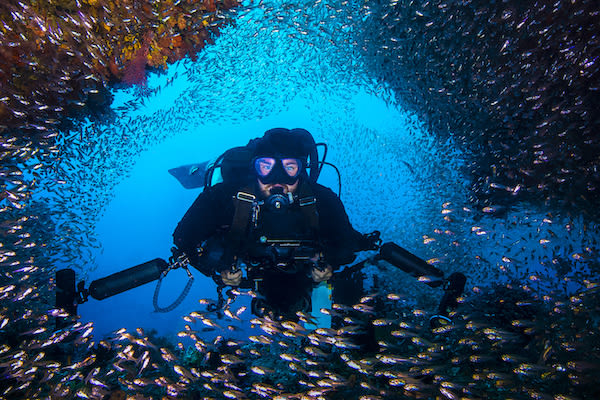 Tiare's 12-Day Maumere & The Forgotten Islands - Day Five - Diving