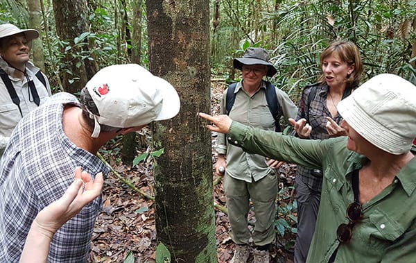 Amazon Eco Boat's 6-Day Immersion Cruise Day Five -  Jungle Tour.