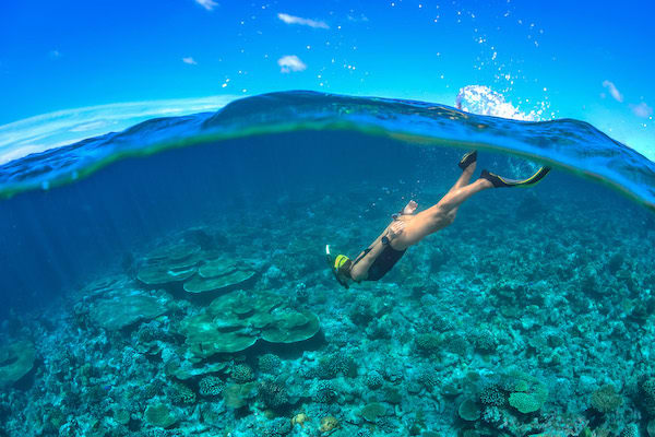 La Unua's 5-Day Komodo Cruise - Day Three - Snorkeling