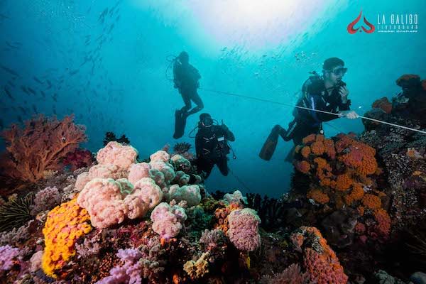 La Galigo's 8-Day Ultimate Komodo - Day Seven - Diving