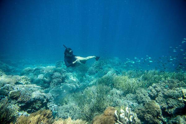 Dunia Baru's 7-Day Bali to Komodo - Day Seven - Guest Enjoy Freediving