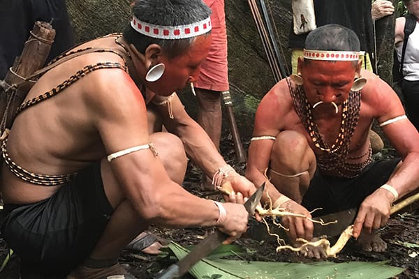 Amazon Dream's 6-Day Manaus Cruise Itinerary Day One - Inhabitants of the Rio Negro.