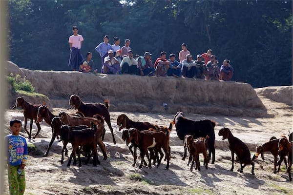 Irrawaddy Explorer's 10-Day Treasure of Golden Myanmar Downriver - Day Five - Local People by River Bank