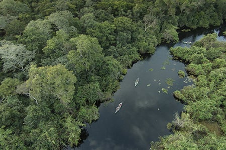 Araras Eco Lodge's 5-Day Jaguar Express Stay Day Two -  Canoeing excursion.