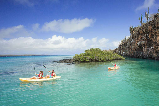 Finch Bay's 4-Day Itinerary Day Three - Kayaking Excursion.