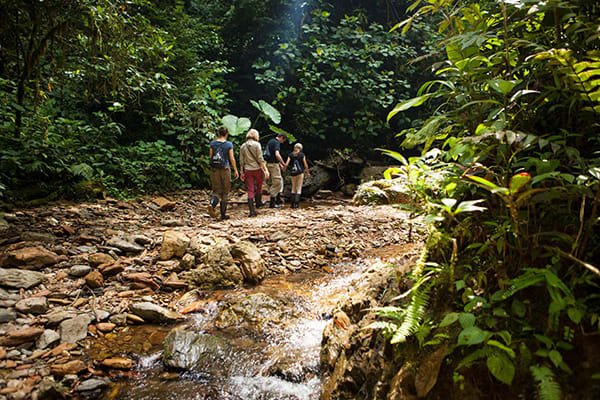 Mashpi Lodge's 3-Day Itinerary Day One - Waterfall Excursions.