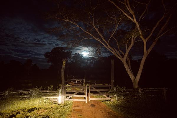 Caiman Ecolodge's 4-Day Pantanal Experience Day Two - Night Drive.