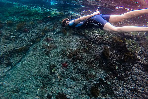 Galapagos Safari Camp's Classic Safari Day Two - Snorkelling.