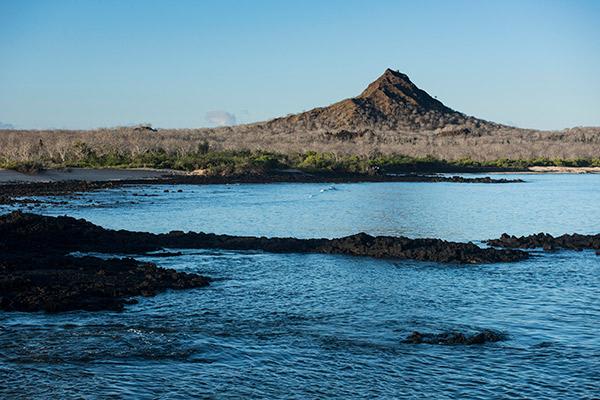 Galapagos Safari Camp's Family Safari Day One - Santa Cruz Island.