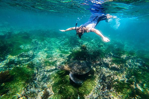 Galapagos Safari Camp's Family Safari Day Three - Snorkelling Excursion.