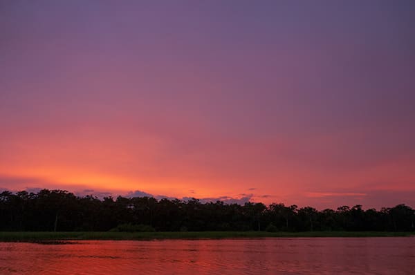 Treehouse Lodge's 4-Day Itinerary Day One - Pink Sunset.