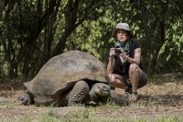 Galapagos Legend’s 4-Day 'C' Itinerary Day Four - Galapagos Giant Tortoise.