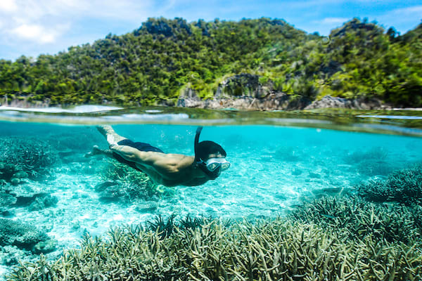 Nataraja's 9-Day Komodo Islands - Day 3 - Snorkeling