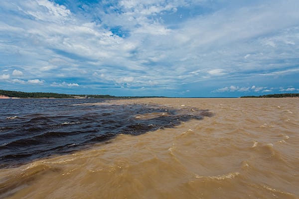 Juma Amazon Lodge's 3-Day Arara Program Day One - Meeting of the Waters.