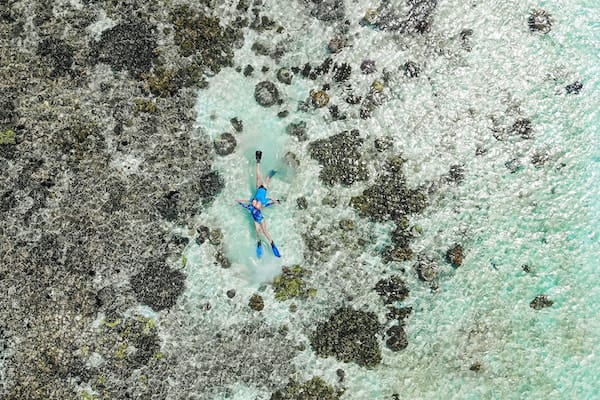 Rascal's 7-Day Ring Of Fire Crossing Bali to Komodo - Day 2 - Guests Swimming on Reef