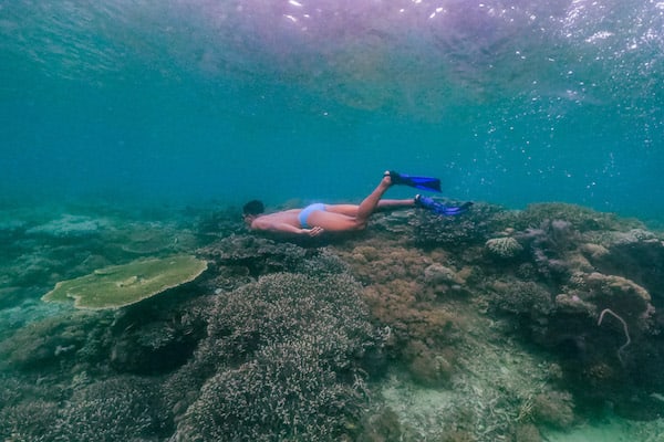 Arua Phinisi's 7-Day Komodo - Day 1 - Snorkeling