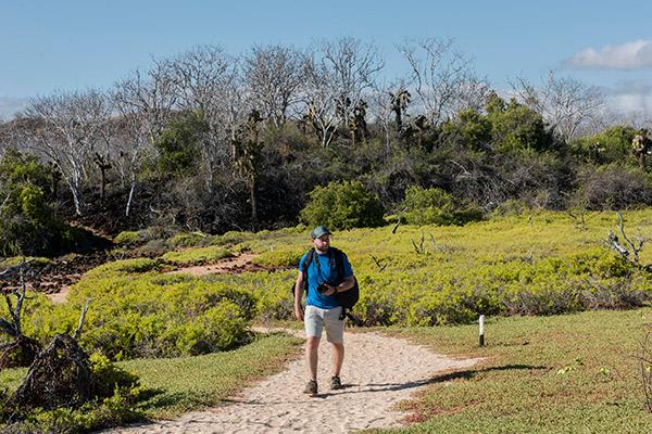 Nemo II's 5-Day Southern Islands Itinerary Day Five - Santa Cruz Landscapes. 